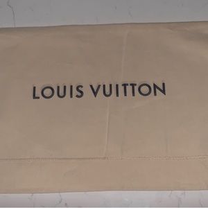 Louis Vuitton Medium Dustbag 14.5x10